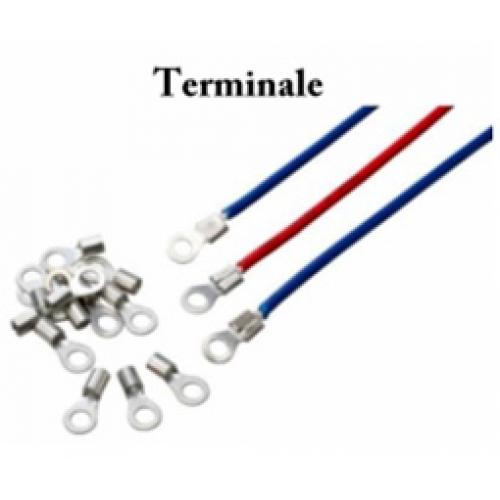 Terminale electrice